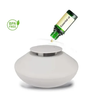 Mini Gift Pure Essential Oil Waterless Cute Electric Fan Aroma Diffuser