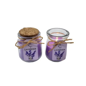 Modern Handmade Soy Wax Aromatherapy Candle Diwali Birthday Gift Plant Scent Environment Friendly