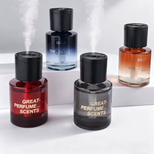 Modern Home Fragrance Glass Bottle Flameless Aromatherapy Car Perfume Auto Spray Reed Diffuser Set