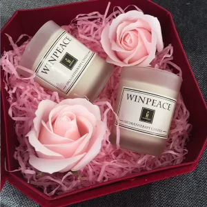 Multi-Fragrance Handmade Soy Wax Scented Candle Gift Set in Jar for Home and Office Decor