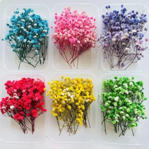 Natural Preserved Baby Breath Gypsophila for Scented Candle Photo Frame Aroma Sachet Craft Material