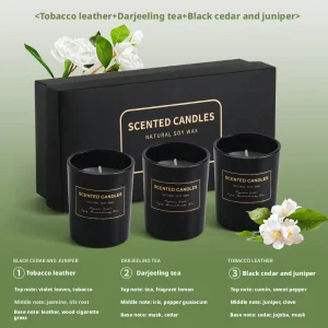 Nature Soy Wax Scented Ceramic Cup Candles Sets for Father’s Day Man Gifts