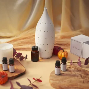 New Arrival Ceramic Bluetooth WiFi Remote App Control Aroma Diffuser Electric Home Smart Scent Humidifier Aroma Diffuser