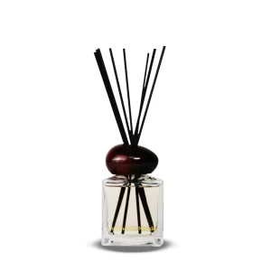 New Design Fragrance Reed Diffuser for Home and car