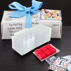 New Design High End Handmade Paraffin Wax Eco Friendly Kits for Candle Burner Oils Home Decoration Customize Fragrance