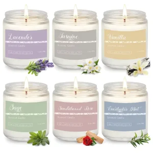 New Scented Candles High end Glass Cups Soy Candles Smokeless Scented Candles Birthday Gifts and Souvenirs