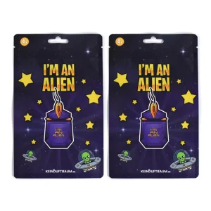 ODM OEM Personalization Three Side Sealing Custom Pouch Flat Pouch with Euro Hang Hole for Paper Air Freshener Product Mylar Bag