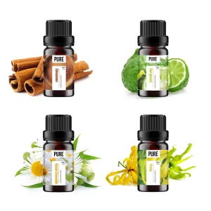 OEM 10ml Custom Factory Organic Natural Plant Pure Therapeutic Essential Oil Aroma Perfume Scented Oils Private Label