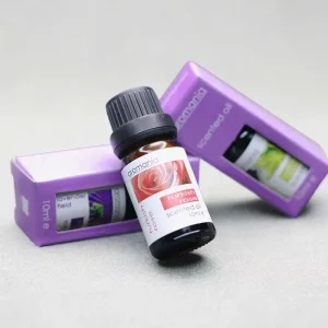 OEM 10ml Premium Scented Water soluble Essential Fragrance Oil for Humidifier Aroma Diffuser Crystal Stone Luxury Car Perfume