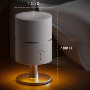 OEM Custom Logo 3-in-1 Aroma Diffuser with Timer and White and Warm Light