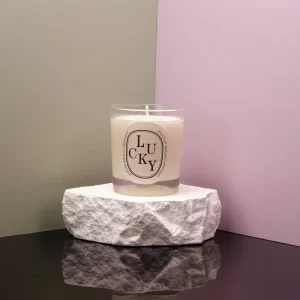 OEM Eco Friendly Flameless LED Candles Luxury Soy Wax Scented for Home Wedding Christmas Easter New Year Holiday Decor