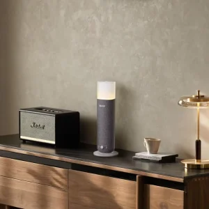 OEM Fragrance Machine Aromatherapy Diffuser Smart Home Custom App Scenting Diffuser with LED Lighting