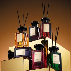 OEM ODM 100ml Reed Diffuser Home Fragrance OEM Indoor air Refresher for Home Decorative Aroma Fragrance
