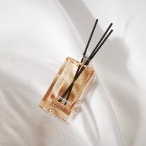 OEM ODM BMH BMH X002 Germany Hot Selling 100ml Glass Perfume Bottle Custom Rectangle Pump Sprayer Reed Diffuser Packaging Screen