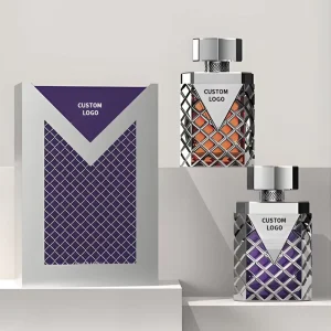 OEM ODM Customizable Brand Logo Eau Fraiche Perfume Body Gift Box Sets Men Regular Size Spray Citrus Woody Multi-Scent Long
