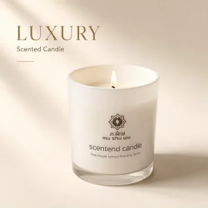 OEM Private Label Frosted Glass Scented Candle Gift Set for Home Decor Boutique Retail Holiday and Lifestyle Brand