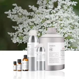 Organic Distilled Indian Carrot Seed Essential Oil High Quality Aromatherapy Skincare Raw Material