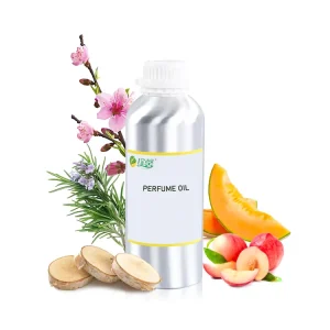 Oud Perfume Fragrance Oil Musk Perfume Oil Concentrated Designer Scent Bulk Fragrance France Perfume Oil