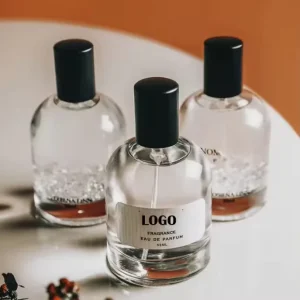 Own logo Perfume 100 ml OEM Spray Luxury Long Lasting Deodorant Unisex Perfume