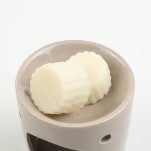 Paraffin Wax Scented Melts with Wax Melt Warmer in Portable Set Handmade & Customizable Packaging