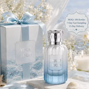 Personalized Lady Parfum Summer Scent Gradient 100ml EDP Long Lasting Floral Notes Customized Logo Spray Bottle Perfume