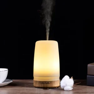 Portable 100ml Air Aromatherapy Scent Machine Essential Oil Humidifier Aroma Diffuser