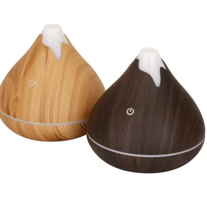 Price USB Waterless Portable Plastic Essential Aroma Humidifier Diffuser Rose Design Electric Car Diffuser Large