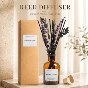 Private Label Botanical Reed Diffuser with Textured Gift Box for Retail Home Decor