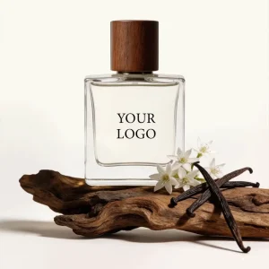 Private Label OEM ODM Women Men Perfume Designer Fragrance Long Lasting Original Scent Eau De Parfum Spray Mist Customized