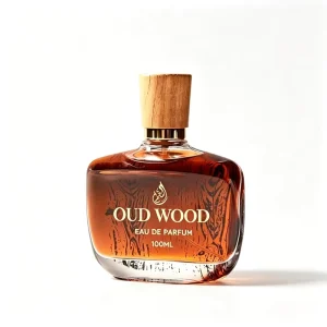 Private Label Private Mold Oud Woody Perfume 100ml EDP Custom Logo Luxury Oriental Unisex Fragrance Bulk OEM for Resale