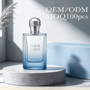 Private Label Summer Wear Perfume Spray Square Blue Bottle 100ml EDP 8 hour Long Lasting Cool Fresh Eco Friendly Customized Logo