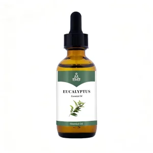 Professional Supplier Exporter High Purity Bulk 30ml Amber Glass Bottle EUCALYPTUS Aromatherapy Essential Oil