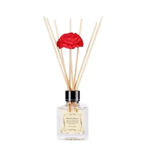 Reed Diffuser 100ml Air Fresher Aroma Fireless Essential Oil Fragrance Reed Diffuser Set Long Lasting Reed Diffuser