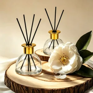 Reed Diffuser 100ml Private Label Globe Glass Bottle Aromatherapy Air Freshener Set for Hotel Spa Wellness