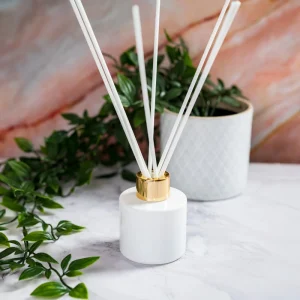 Reed Diffuser Bottle 50ml 100ml Room Diffuser Bottles Aroma Diffuser Bottle With Lids