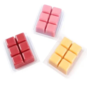 Reusable Scented Melts Packing Plastic Wax Melt Clamshells Essential Oils Scented Melts Container Aromatherapy Gift Packaging