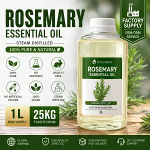 Rosemary Essential Oil, Steam Distilled Natural Plant Oil for Hair Care, Skin Care, and Massage, OEM ODM Manufacturer