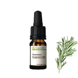 Rosemary Fragrance Oil