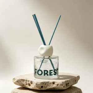 Round Empty Aromatherapy Aroma Reed Diffuser Glass Bottle with Sticks and Screw Lid