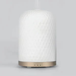 Scent Diffuser with Essential Oil Aromatherapy