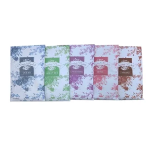 Scented Bags Fragrance Air Freshener Sachet with Plastic Hook Display Box 20g