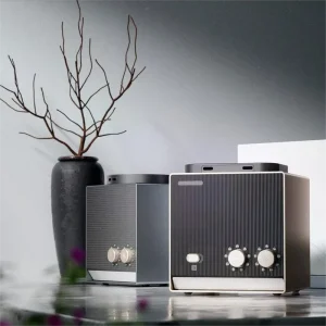 Scents Aromatherapy Diffuser 200ml*2 Bluetooth WiFi Office Aroma Machine Double Bottle Scent Diffuser