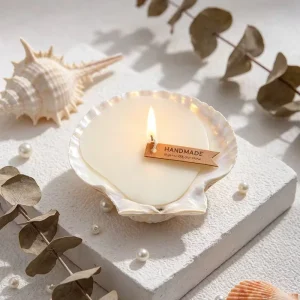 Seashell Shaped Aroma Candle with Portable Exquisite Packaging Handcrafted for Seaside Trip Keepsake Wedding Guest Gift