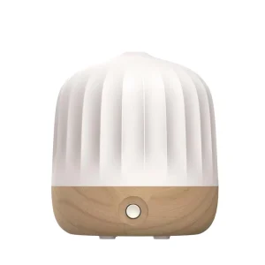Smart Electric 200ml Ultrasonic Humidifier Diffuser Cool Mist Night Light Hotel Household Car Use Essential Oil Aroma 1 Year