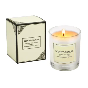 Smokeless Aromatherapy 50g Scented Candle Gift Box for Diwali Christmas Hotel & Club Occasions Souvenir