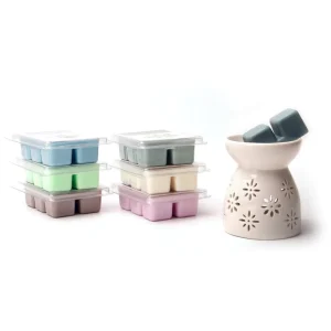 Soy Wax Melts Gift Set Scented Wax Cubes Home Fragrance Collection for Candle Warmer Custom Packaging