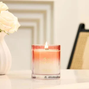 Soy Wax Scented Candle in Glass Jar for Summer and Holiday Gifts