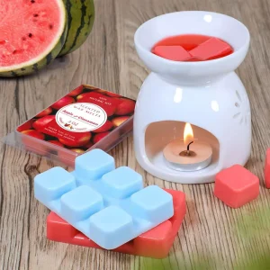 Soybean Aromatherapy Scented Natural Soy Wax Block Blister Melt Halloween Holiday Gift Box Supplies Factory Supply