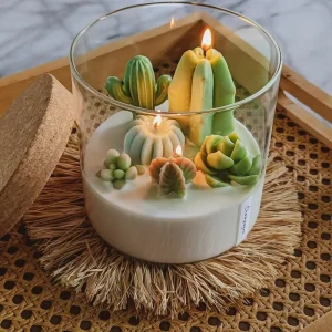 Succulent Plant Cactus Scented Soy Wax Candle Creative Decoration Flower Pot for Festivals Bedroom Fragrance Holiday Ornament