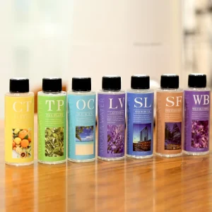 Top Selling Water Soluble Fragrance Perfume Aroma Oil Gift Set Air Freshener Refill Oil for Humidifier in Stock Custom